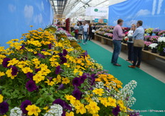 Kijkje over het kleurrijke assortiment van Danziger